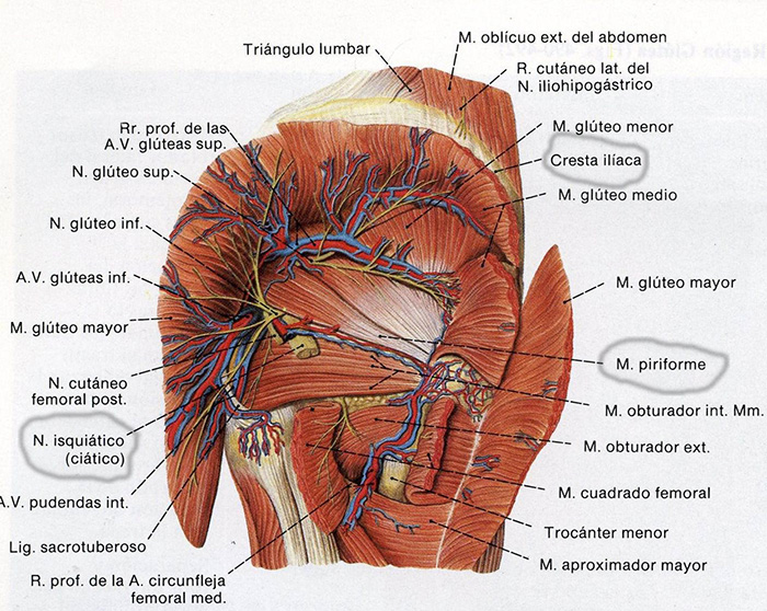 sindrome-piramidal-esportista